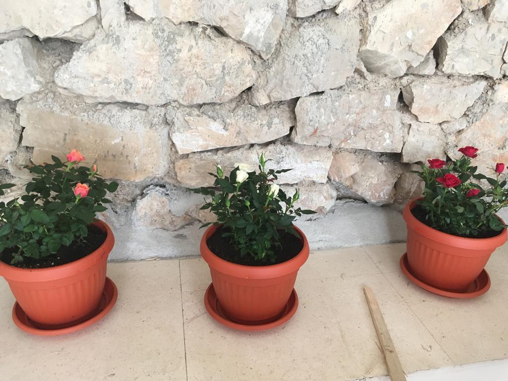 Apartments Petra Tribalj Εξωτερικό φωτογραφία